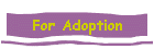 For Adoption